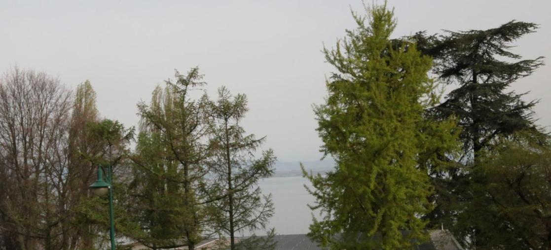 Magnifique T3 Face Au Lac Evian-les-Bains Exterior photo